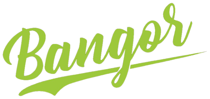 logo burger bangor removebg preview